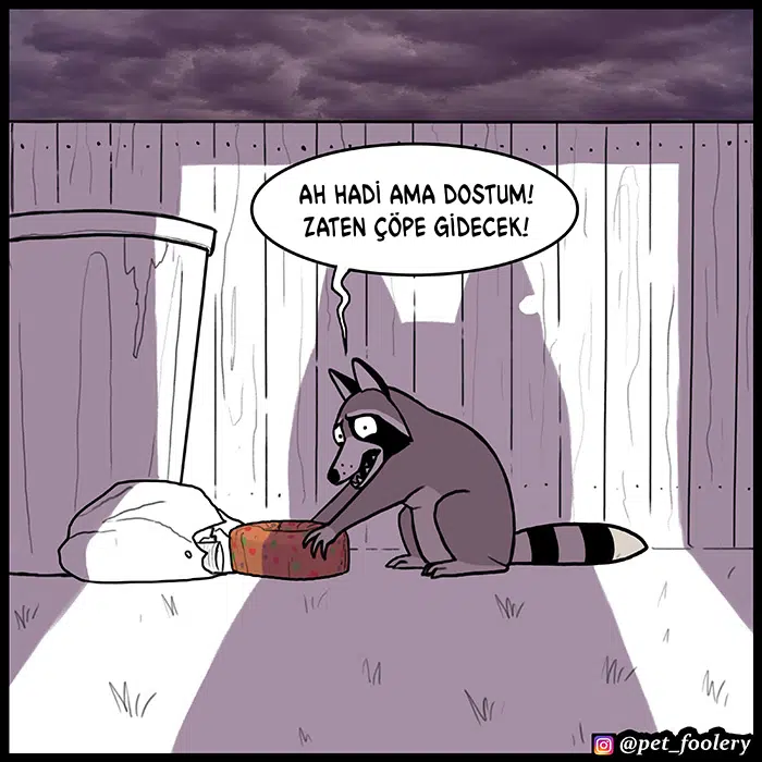 Pixie ve Brütüs - Bölüm 80 Sayfa 6