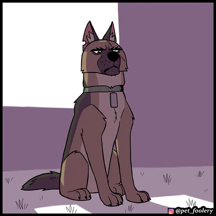 Pixie ve Brütüs - Bölüm 80 Sayfa 7