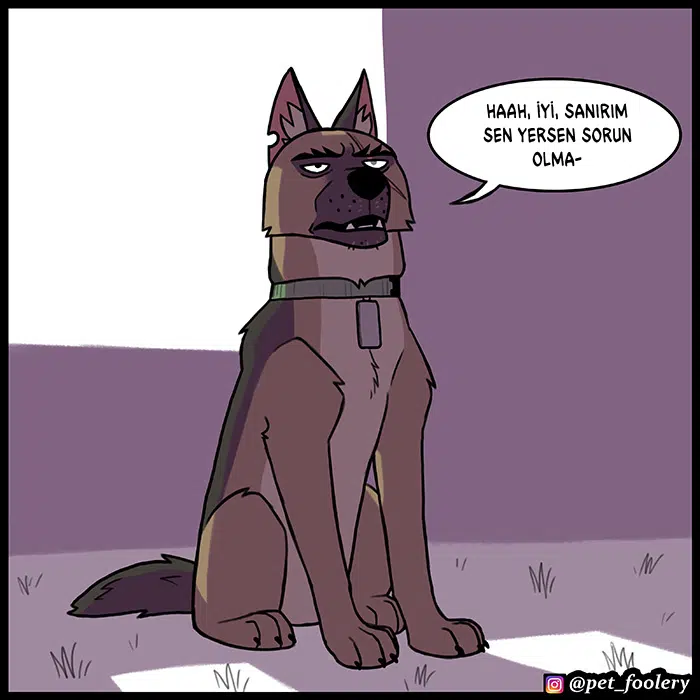 Pixie ve Brütüs - Bölüm 80 Sayfa 8