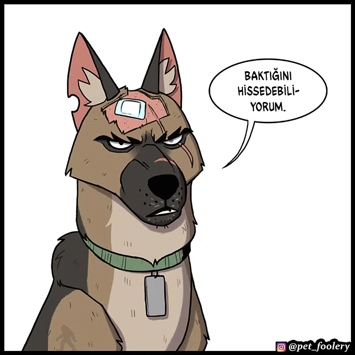 Pixie ve Brütüs - Bölüm 82 Sayfa 2