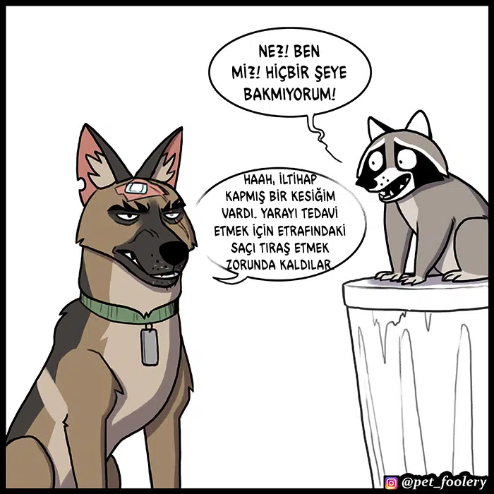 Pixie ve Brütüs - Bölüm 82 Sayfa 3