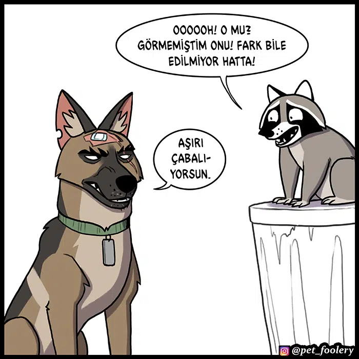 Pixie ve Brütüs - Bölüm 82 Sayfa 4