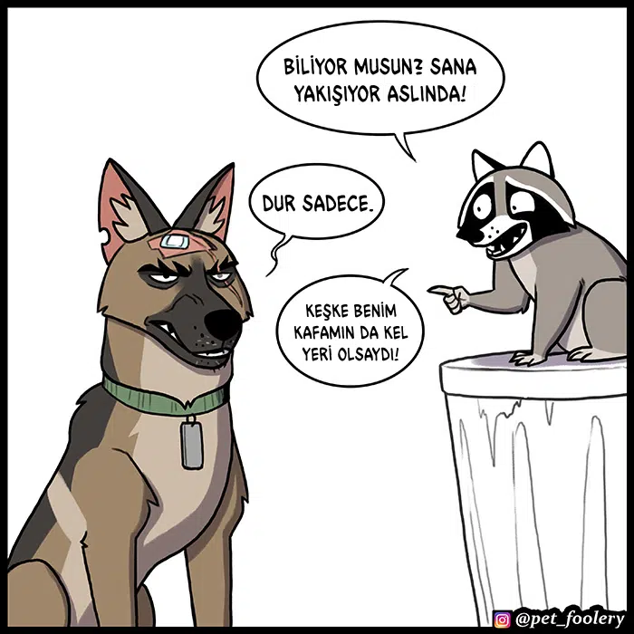 Pixie ve Brütüs - Bölüm 82 Sayfa 5