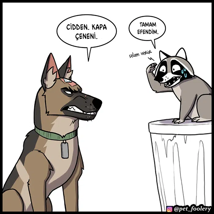 Pixie ve Brütüs - Bölüm 82 Sayfa 6