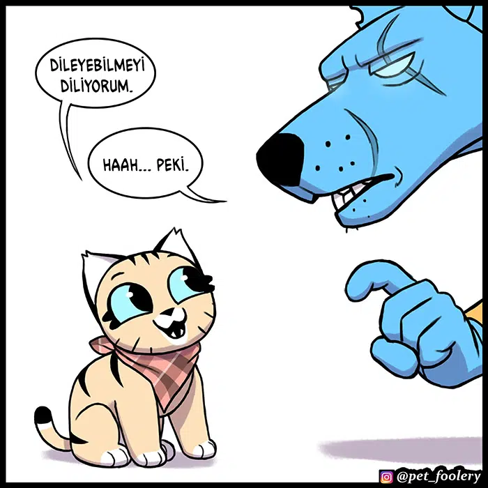 Pixie ve Brütüs - Bölüm 85 Sayfa 5