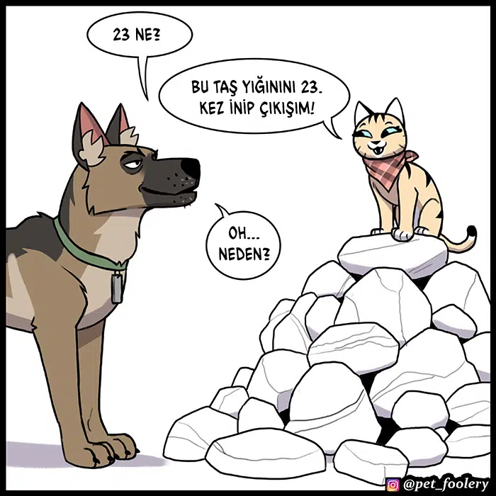 Pixie ve Brütüs - Bölüm 86 Sayfa 3