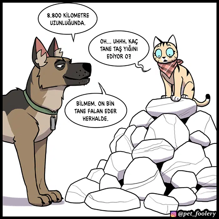 Pixie ve Brütüs - Bölüm 86 Sayfa 6