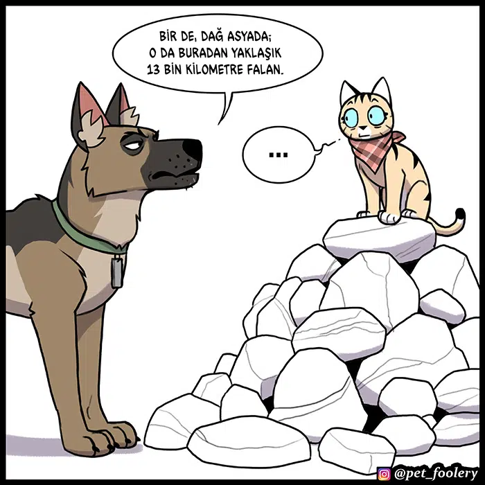 Pixie ve Brütüs - Bölüm 86 Sayfa 7