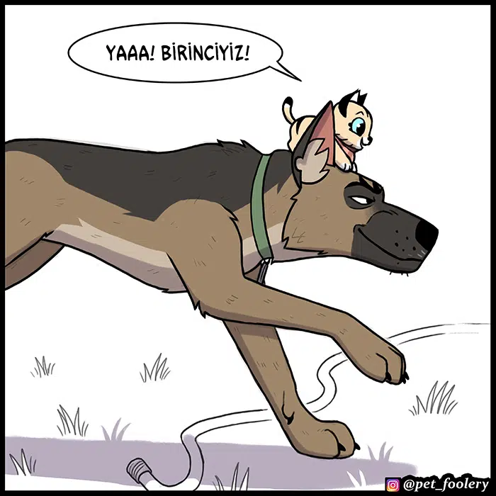 Pixie ve Brütüs - Bölüm 89 Sayfa 5