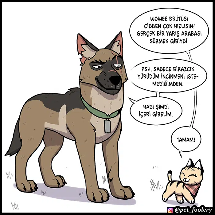 Pixie ve Brütüs - Bölüm 89 Sayfa 6