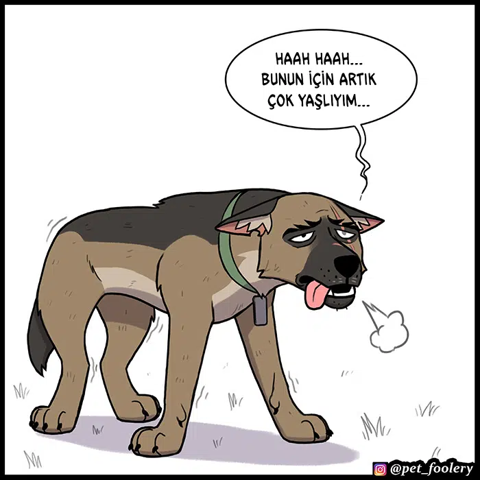 Pixie ve Brütüs - Bölüm 89 Sayfa 7