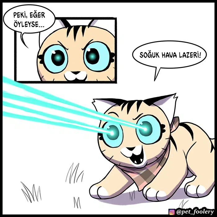 Pixie ve Brütüs - Bölüm 91 Sayfa 5