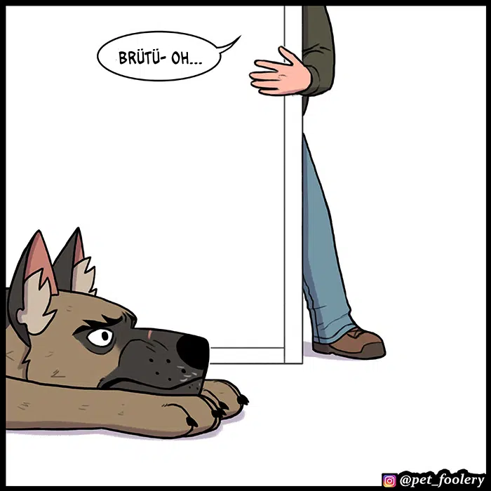 Pixie ve Brütüs - Bölüm 92 Sayfa 6