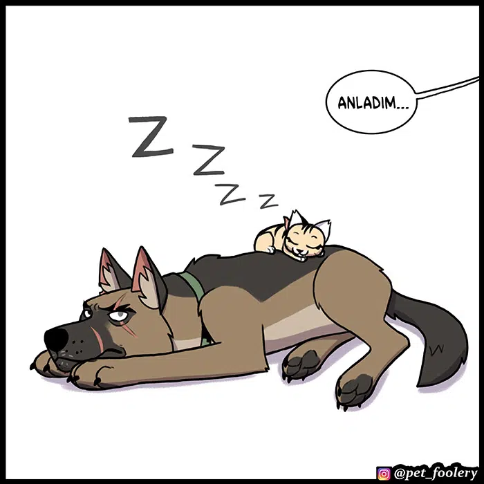Pixie ve Brütüs - Bölüm 92 Sayfa 7