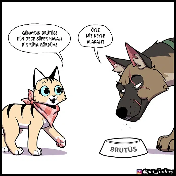 Pixie ve Brütüs - Bölüm 93 Sayfa 2