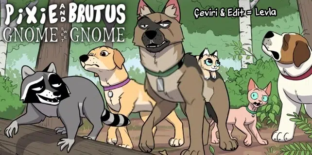 Pixie ve Brütüs - Bölüm 95 Sayfa 1