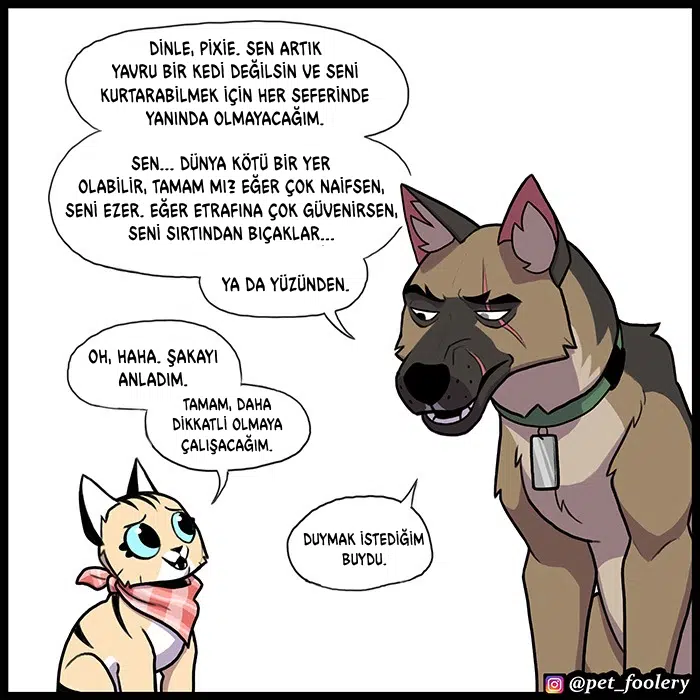 Pixie ve Brütüs - Bölüm 95 Sayfa 5