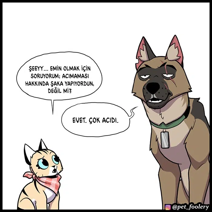 Pixie ve Brütüs - Bölüm 95 Sayfa 6