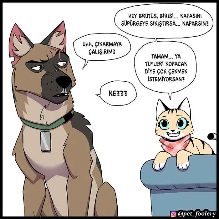 Pixie ve Brütüs - Bölüm 97 Sayfa 2