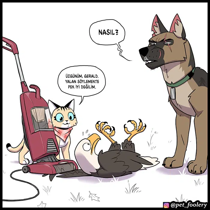 Pixie ve Brütüs - Bölüm 97 Sayfa 5