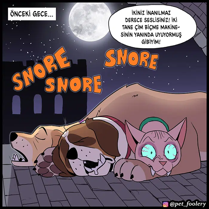 Pixie ve Brütüs - Bölüm 99 Sayfa 3