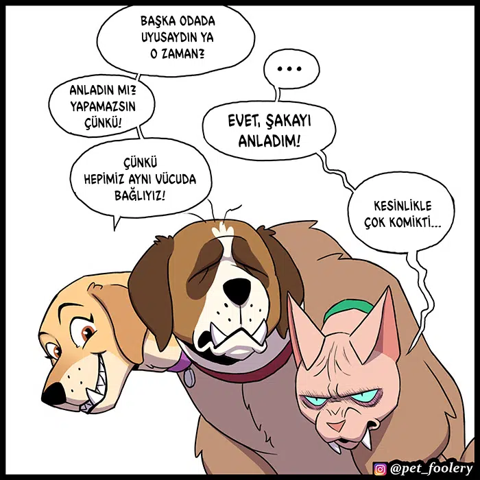 Pixie ve Brütüs - Bölüm 99 Sayfa 4