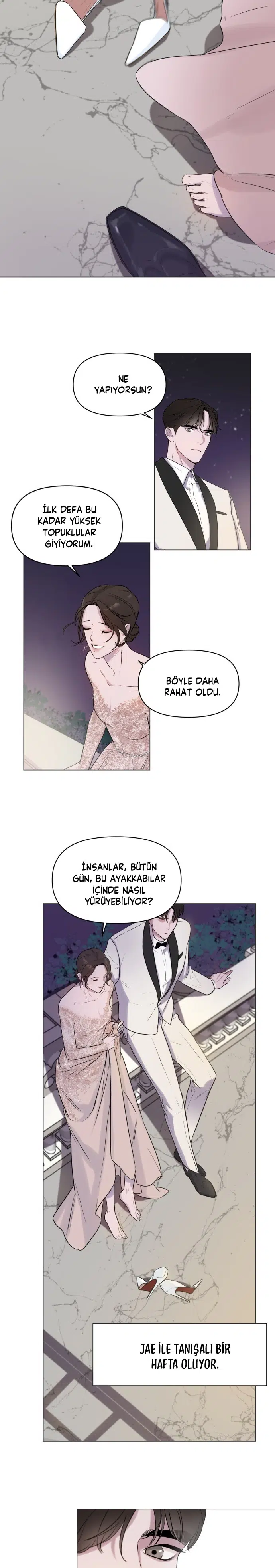 Başka Bir Aşk - Bölüm 0 Sayfa 15