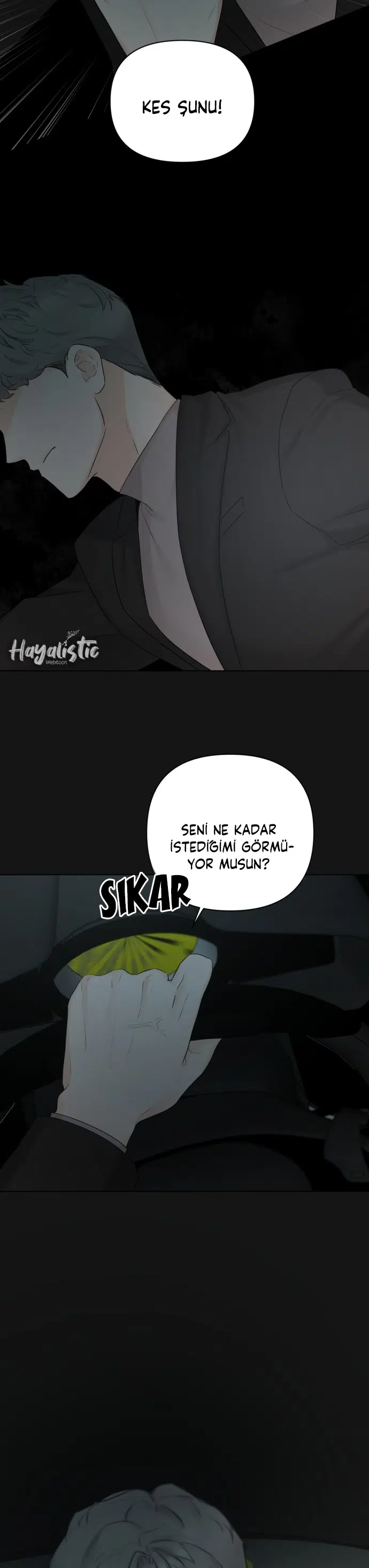 Başka Bir Aşk - Bölüm 35 Sayfa 12