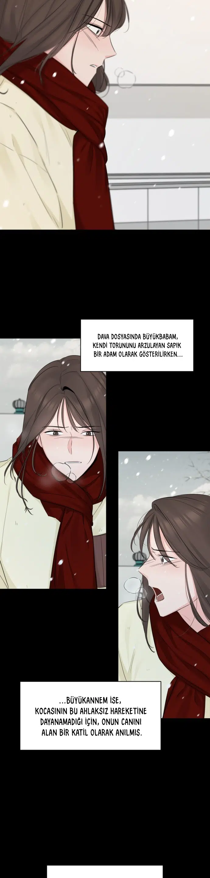 Başka Bir Aşk - Bölüm 36 Sayfa 15