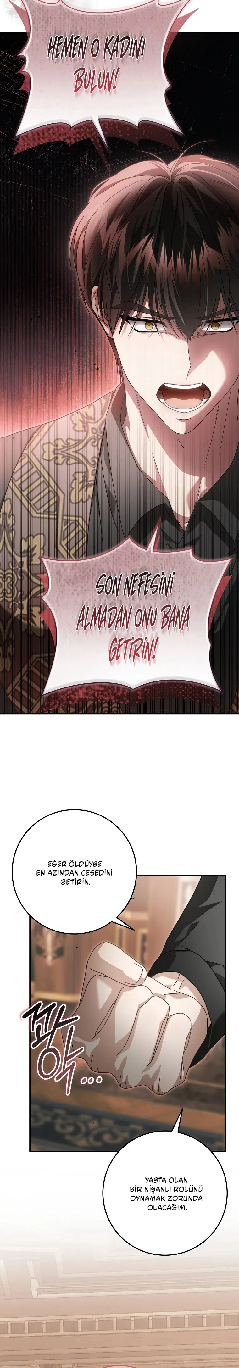 Vasiyetim Bu Anlama Gelmiyordu - Bölüm 2 Sayfa 13