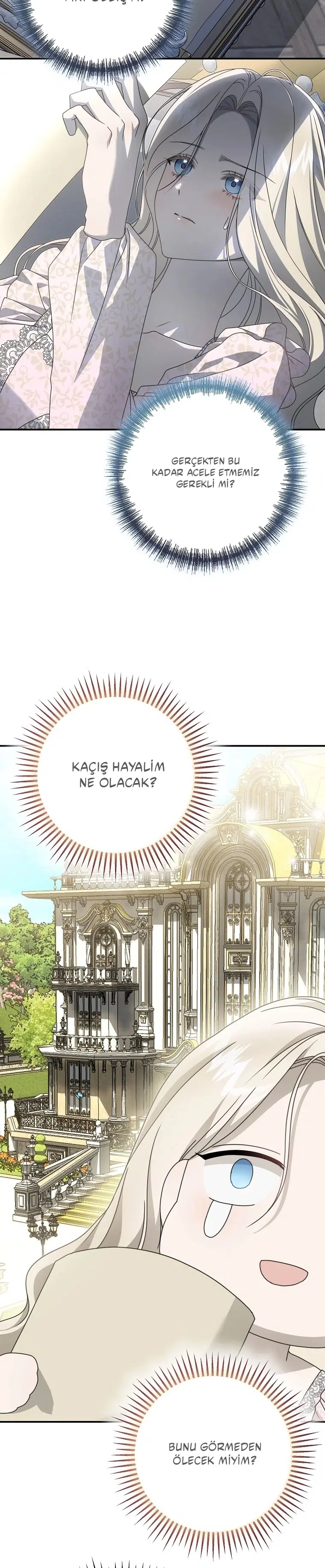 Vasiyetim Bu Anlama Gelmiyordu - Bölüm 4 Sayfa 43