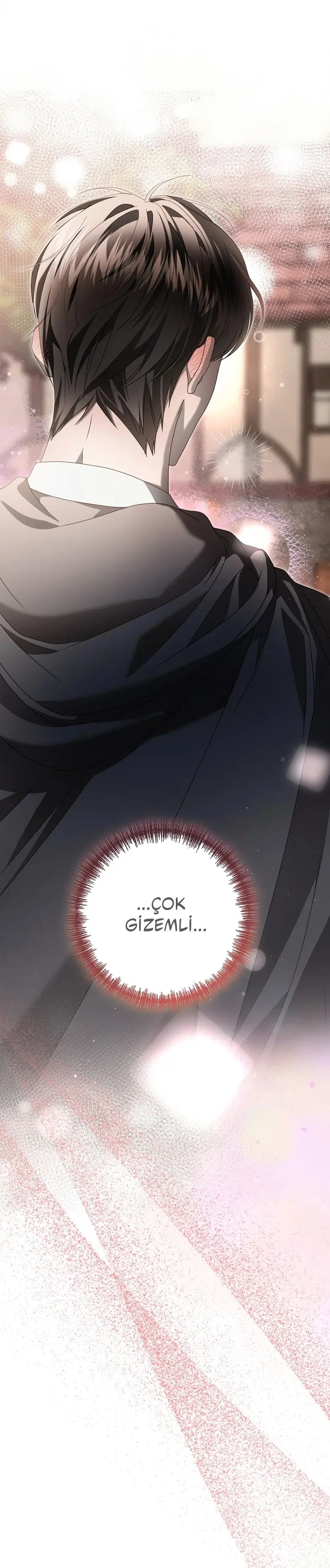 Vasiyetim Bu Anlama Gelmiyordu - Bölüm 6 Sayfa 41