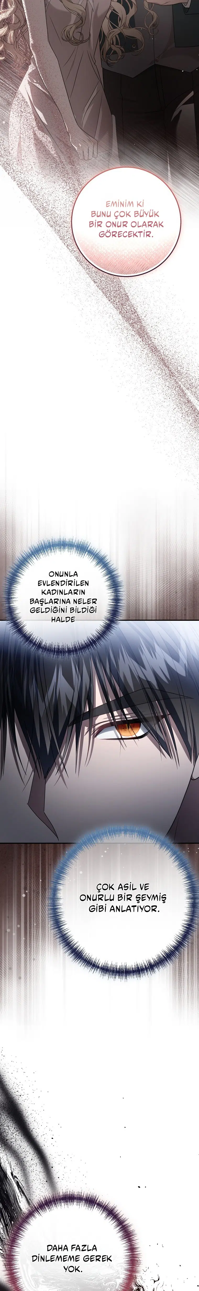 Vasiyetim Bu Anlama Gelmiyordu - Bölüm 13 Sayfa 35