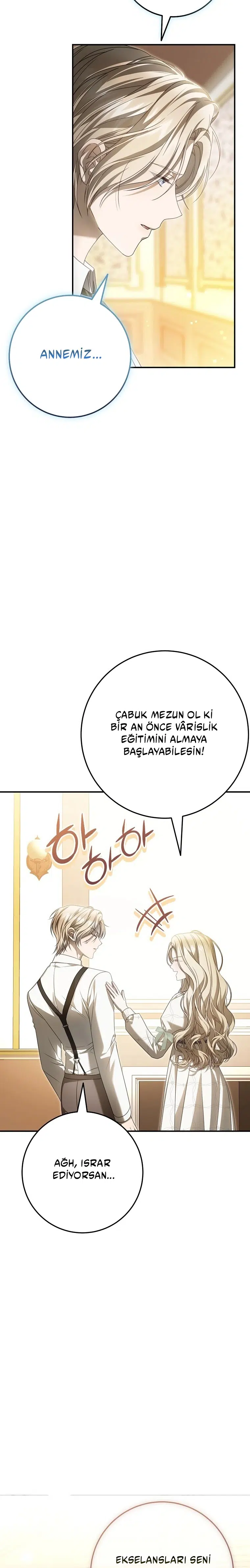 Vasiyetim Bu Anlama Gelmiyordu - Bölüm 16 Sayfa 33