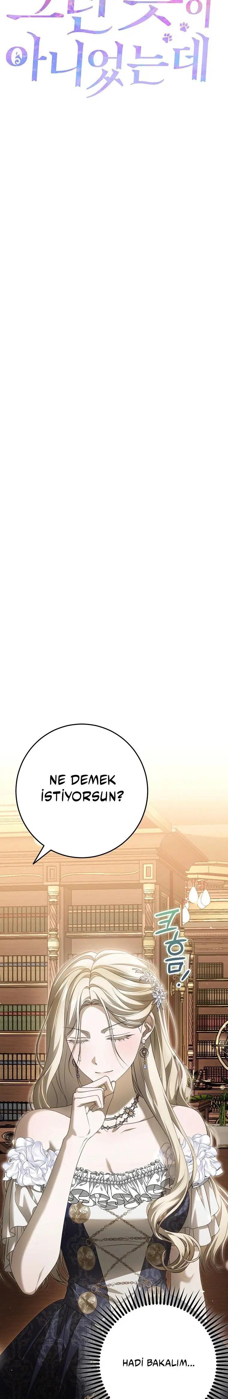 Vasiyetim Bu Anlama Gelmiyordu - Bölüm 19 Sayfa 9
