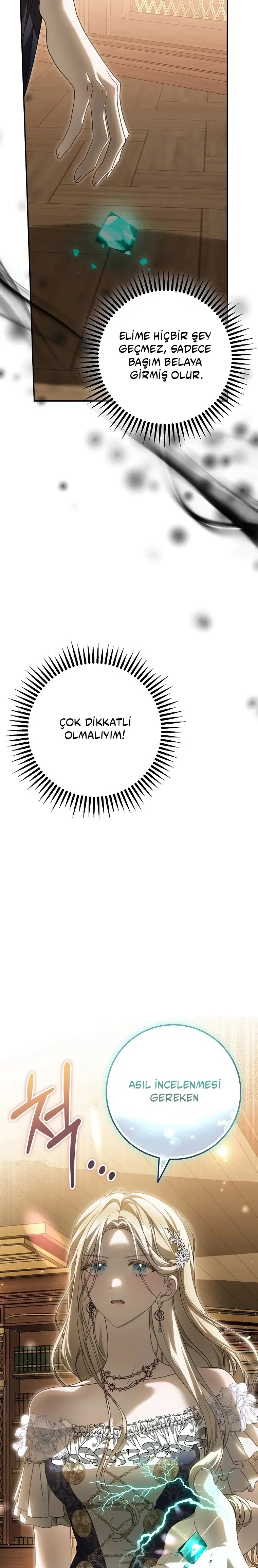 Vasiyetim Bu Anlama Gelmiyordu - Bölüm 19 Sayfa 15