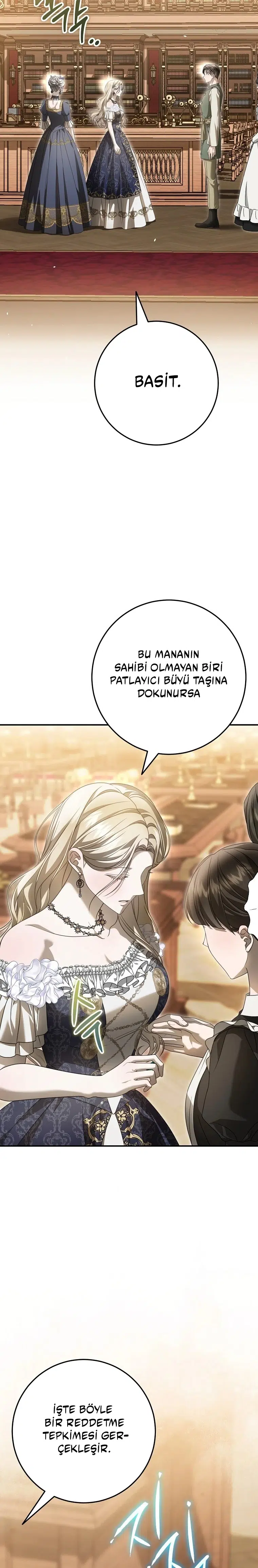 Vasiyetim Bu Anlama Gelmiyordu - Bölüm 19 Sayfa 17