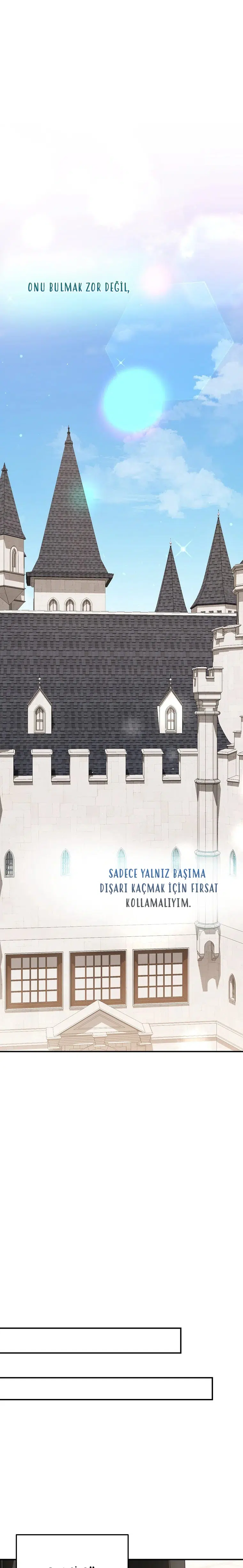 Vasiyetim Bu Anlama Gelmiyordu - Bölüm 21 Sayfa 27