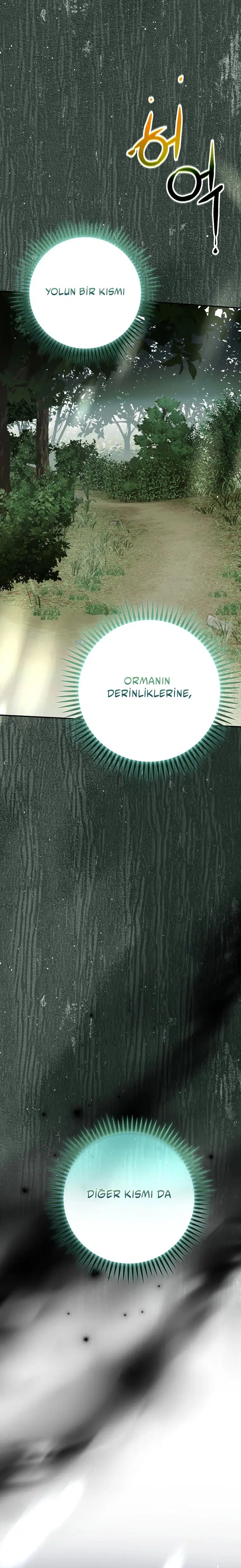 Vasiyetim Bu Anlama Gelmiyordu - Bölüm 24 Sayfa 35