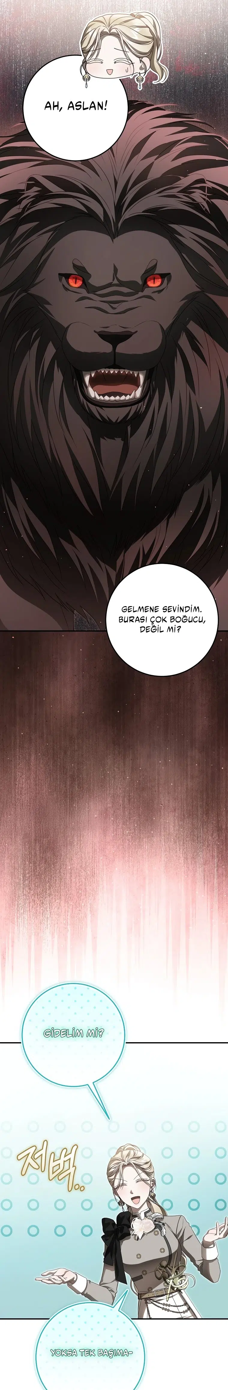 Vasiyetim Bu Anlama Gelmiyordu - Bölüm 26 Sayfa 17
