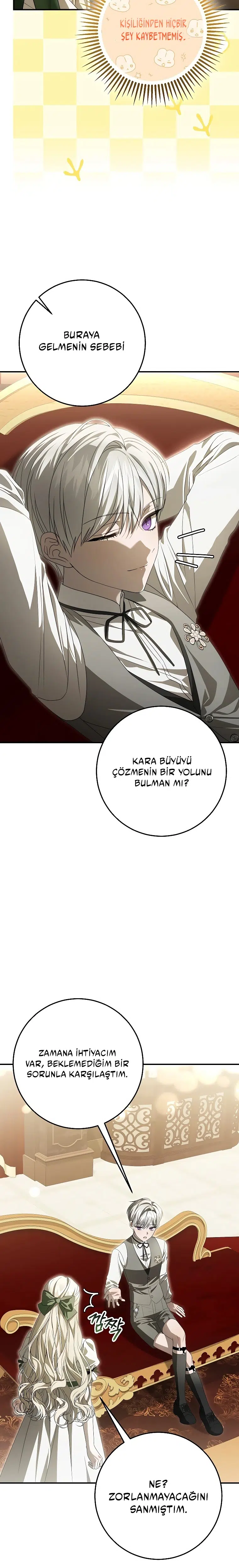 Vasiyetim Bu Anlama Gelmiyordu - Bölüm 30 Sayfa 13