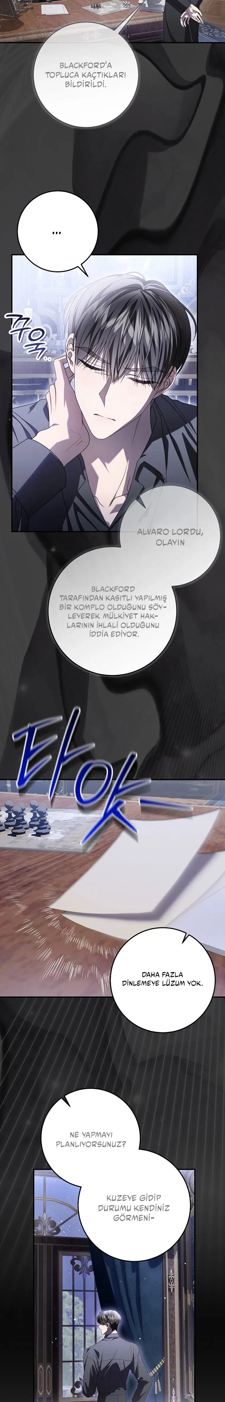 Vasiyetim Bu Anlama Gelmiyordu - Bölüm 36 Sayfa 17