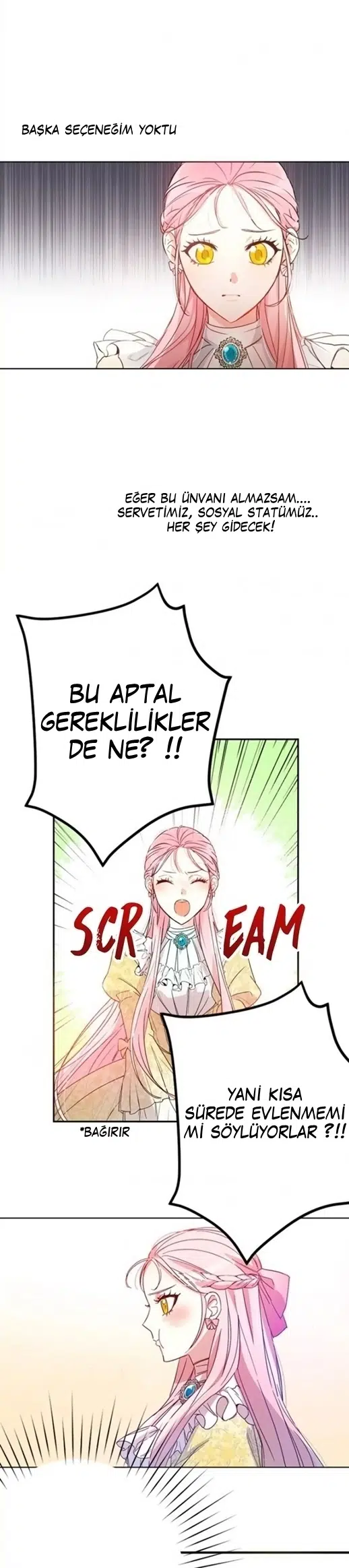 Bu Açıkça Sahte Bir Evlilik - Bölüm 1 Sayfa 5