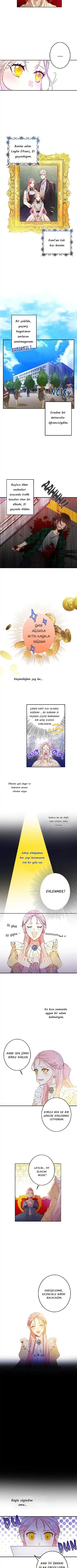 Bu Açıkça Sahte Bir Evlilik - Bölüm 2 Sayfa 3