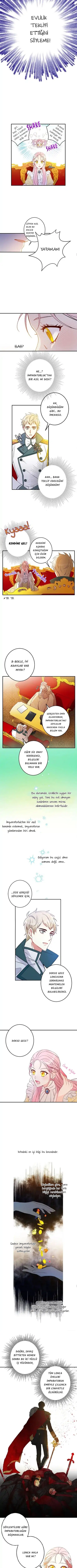 Bu Açıkça Sahte Bir Evlilik - Bölüm 2 Sayfa 5