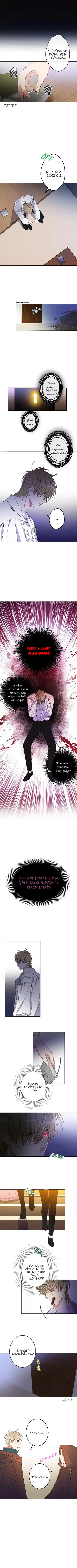 Bu Açıkça Sahte Bir Evlilik - Bölüm 3 Sayfa 4