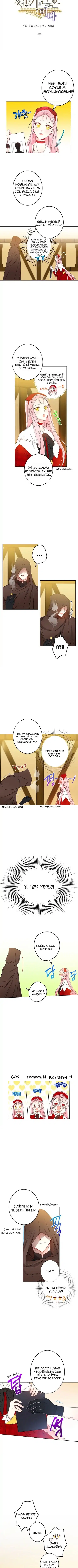 Bu Açıkça Sahte Bir Evlilik - Bölüm 8 Sayfa 3