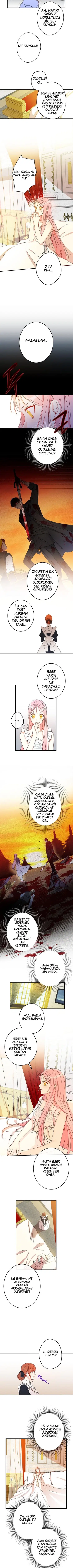 Bu Açıkça Sahte Bir Evlilik - Bölüm 12 Sayfa 3