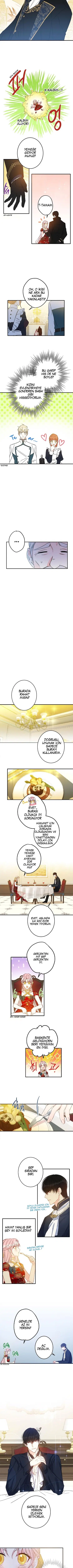 Bu Açıkça Sahte Bir Evlilik - Bölüm 12 Sayfa 5