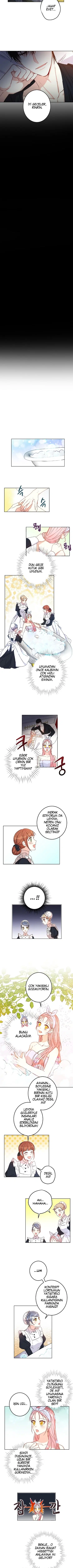 Bu Açıkça Sahte Bir Evlilik - Bölüm 13 Sayfa 6